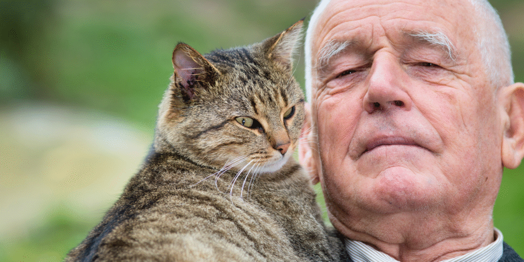 Chat sénior et son propriétaire heureux