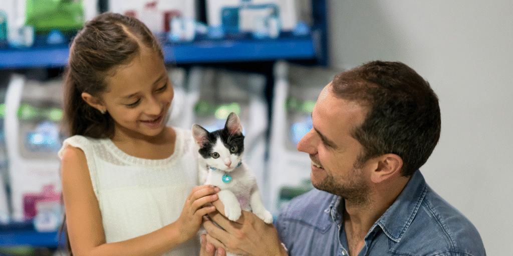 Chat adopté en refuge, heureux dans les bras de son nouveau propriétaire